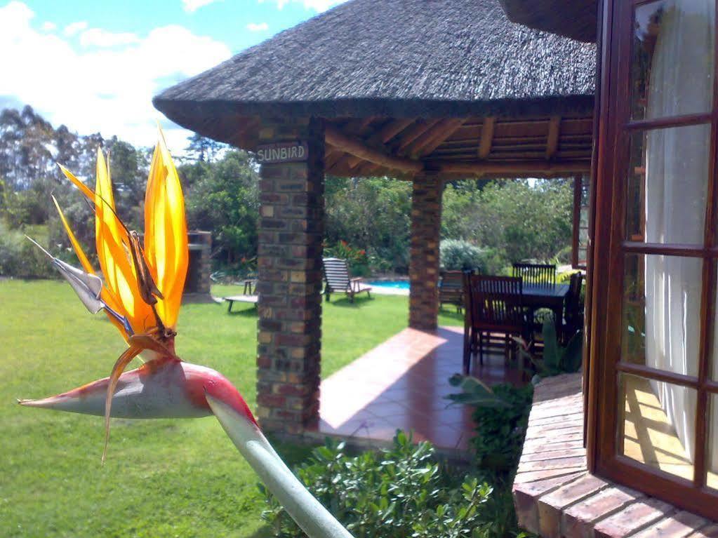 Coral Tree Cottages Harkerville Exterior photo